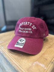 Property of Dad Cap cardinal