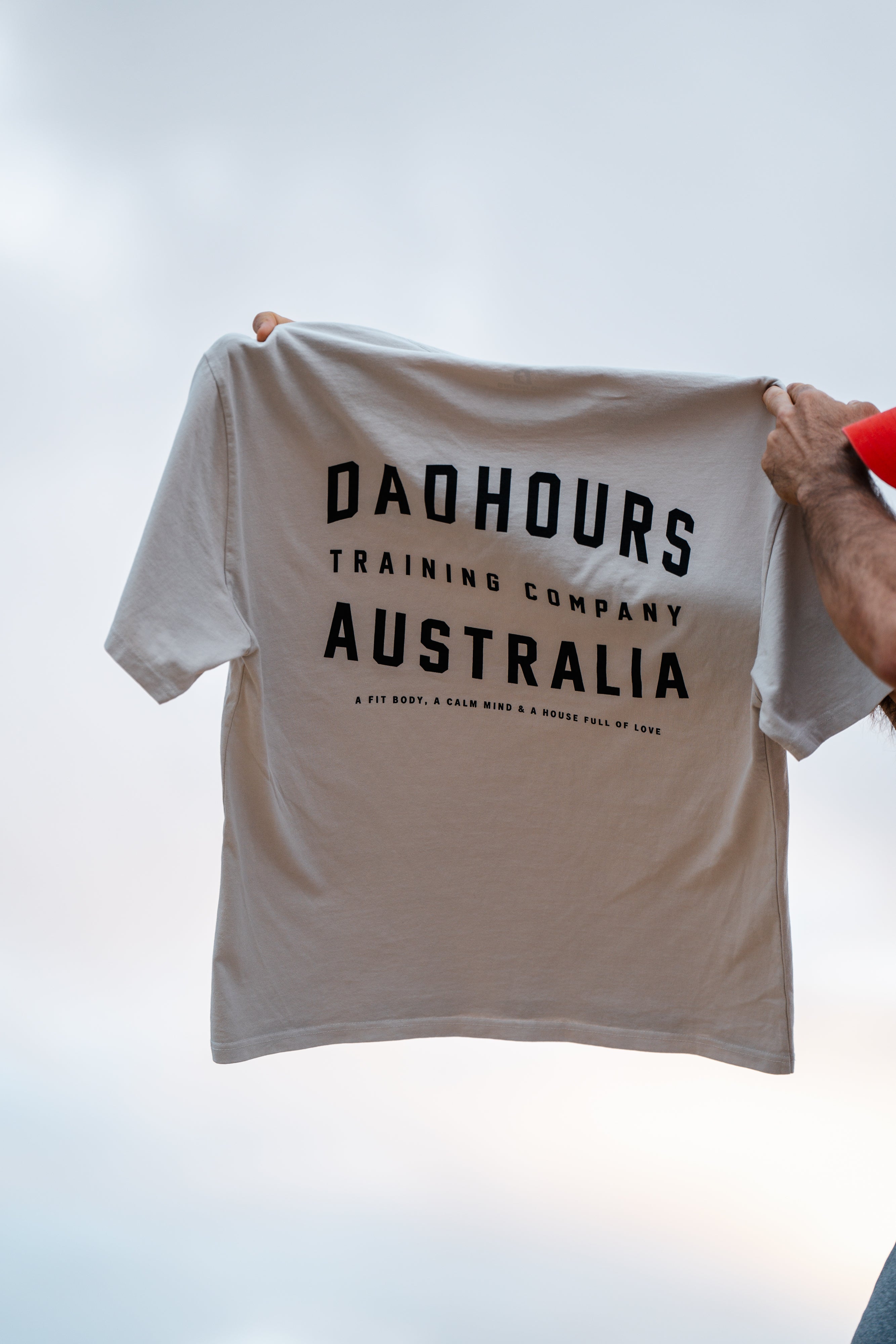 DH Urban Fade Tee (TC bone)